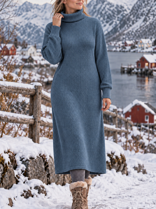 Women Plain Long Sleeve Turtleneck Dress Daily Casual Maxi Shift Dress H-Line Spring/Fall Dress