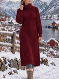 Women Plain Long Sleeve Turtleneck Dress Daily Casual Maxi Shift Dress H-Line Spring/Fall Dress